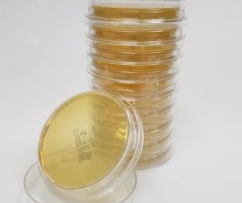 Microbial Sampling - Class 1 Air